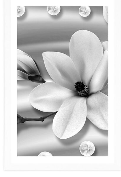 Plakat z passe-partout luksusowa magnolia z perłami w czarno-białym kolorze