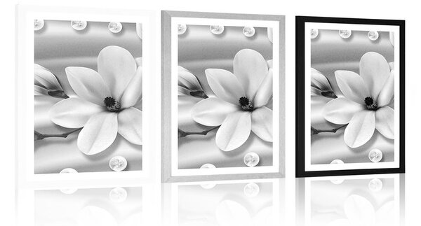 Plakat z passe-partout luksusowa magnolia z perłami w czarno-białym kolorze