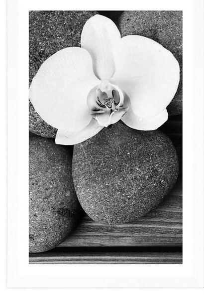 Plakat z passe-partout kamienie wellness i orchidea na drewnianym tle w czerni i bieli