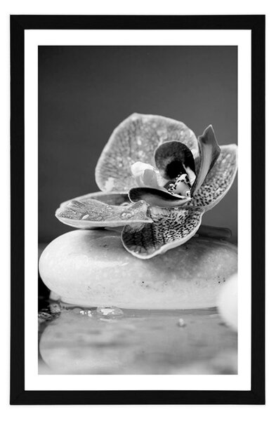 Plakat z passe-partout orchidea i Zen kamienie w czerni i bieli