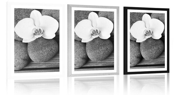 Plakat z passe-partout kamienie wellness i orchidea na drewnianym tle w czerni i bieli