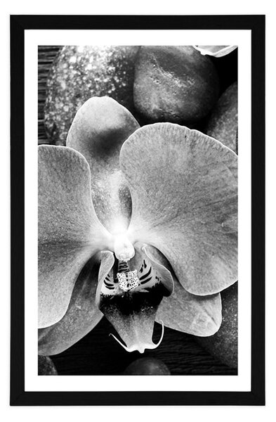 Plakat z passe-partout cudowna orchidea i kamienie w czerni i bieli