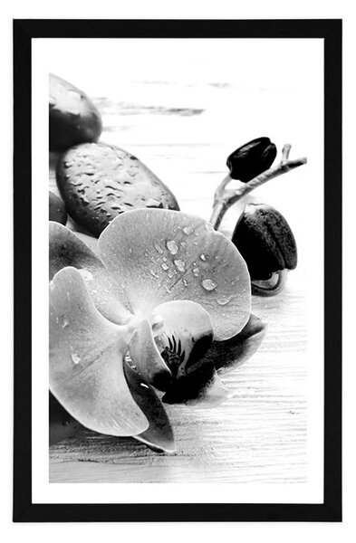 Plakat z passe-partout magiczna gra kamieni i orchidei w czerni i bieli