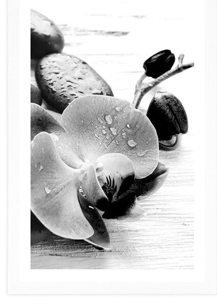 Plakat z passe-partout magiczna gra kamieni i orchidei w czerni i bieli