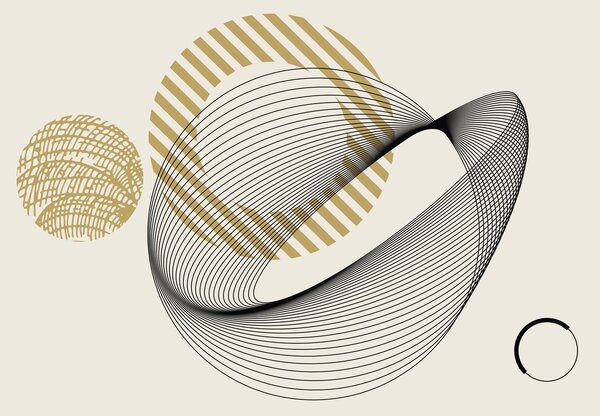 Fototapeta - Abstrakcyjne linie i koła (196x136 cm)