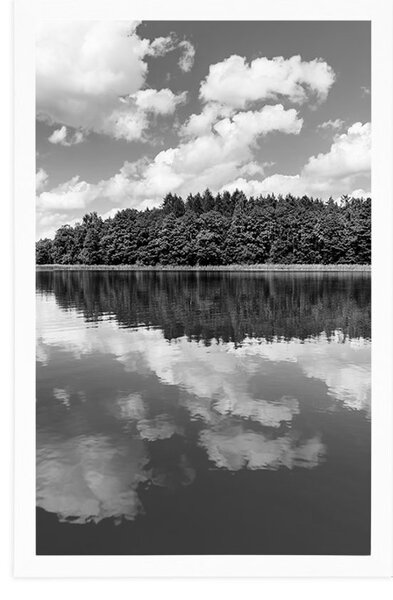 Plakat natura latem w czerni i bieli