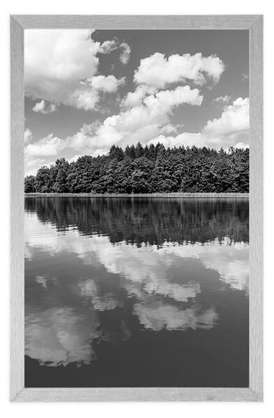 Plakat natura latem w czerni i bieli