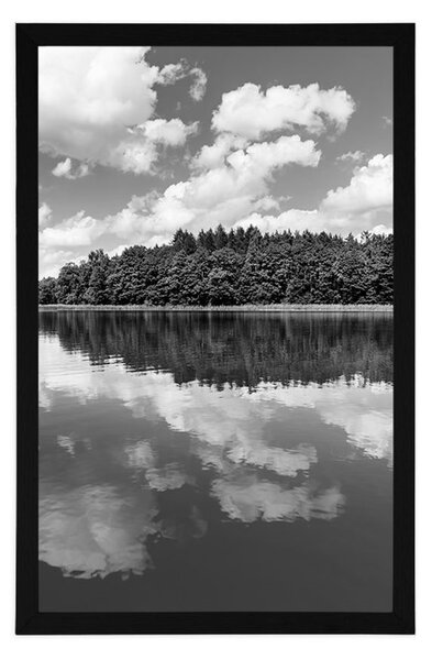 Plakat natura latem w czerni i bieli