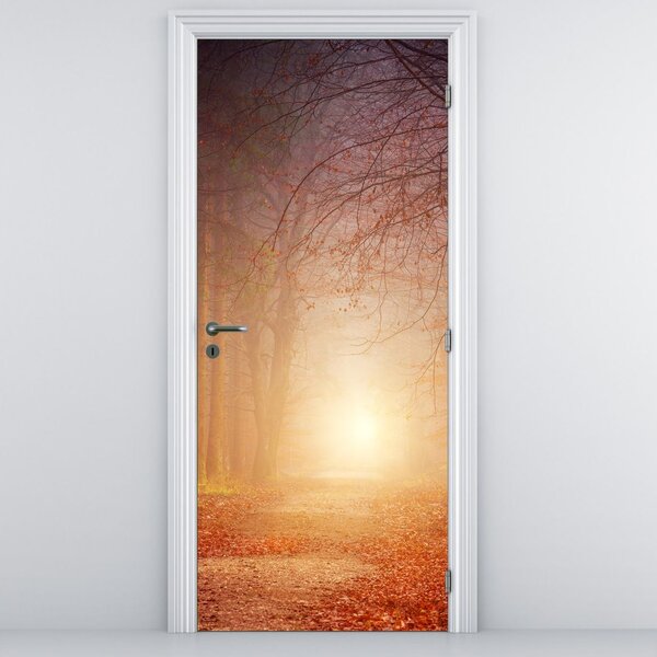 Fototapeta na drzwi - Jesienny las we mgle (95x205cm)
