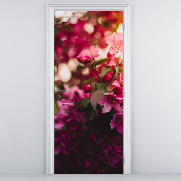 Fototapeta na drzwi - Kwiaty rozwiniętego krzewu (95x205cm)