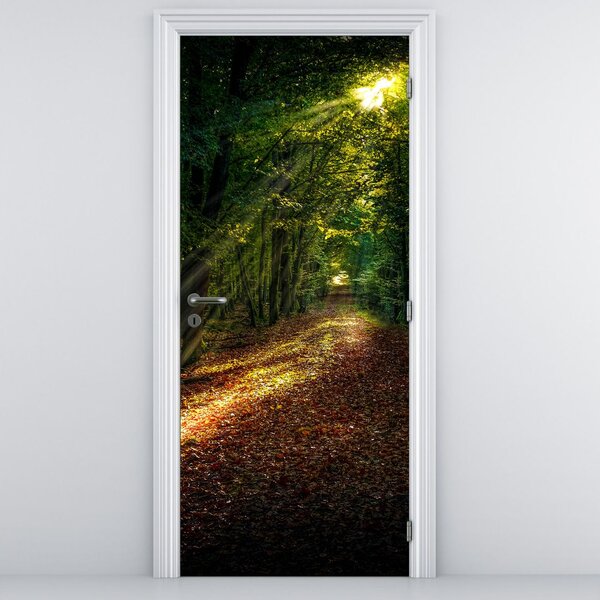 Fototapeta na drzwi - Leśna ścieżka (95x205cm)
