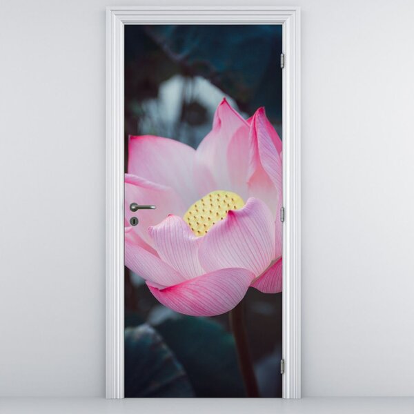 Fototapeta na drzwi - Różowe kwiaty (95x205cm)