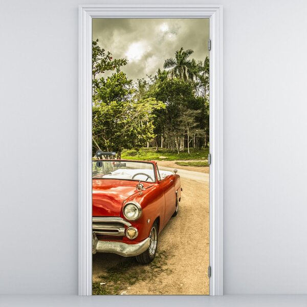 Fototapeta na drzwi - Zabytkowe auto w naturze (95x205cm)