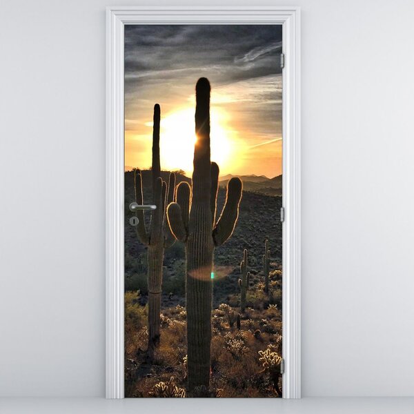 Fototapeta na drzwi - Kaktusy w słońcu (95x205cm)