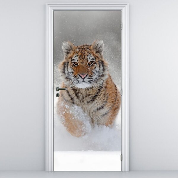 Fototapeta na drzwi - Biegnący tygrys po śniegu (95x205cm)