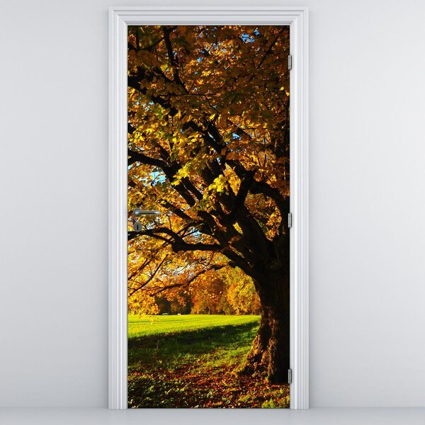 Fototapeta na drzwi - Jesień (95x205cm)