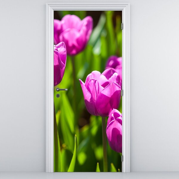 Fototapeta na drzwi - Tulipany na łące (95x205cm)
