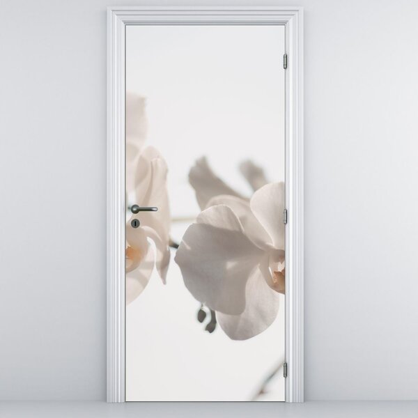 Fototapeta na drzwi - Białe orchidee (95x205cm)