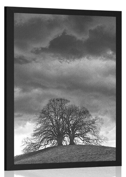 Plakat czarno-białe samotne drzewa