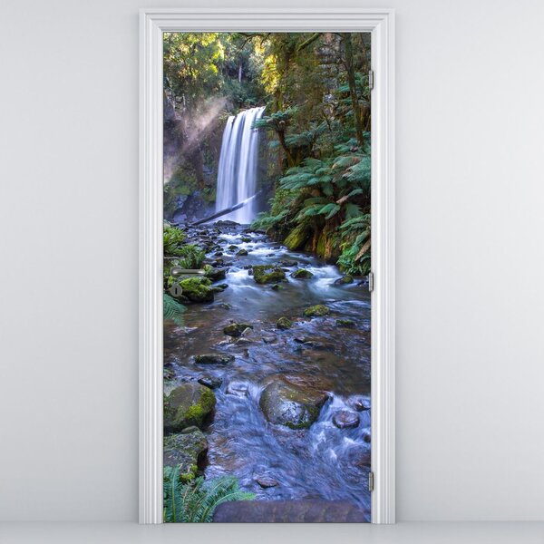 Fototapeta do drzwi - Australijski las deszczowy (95x205cm)