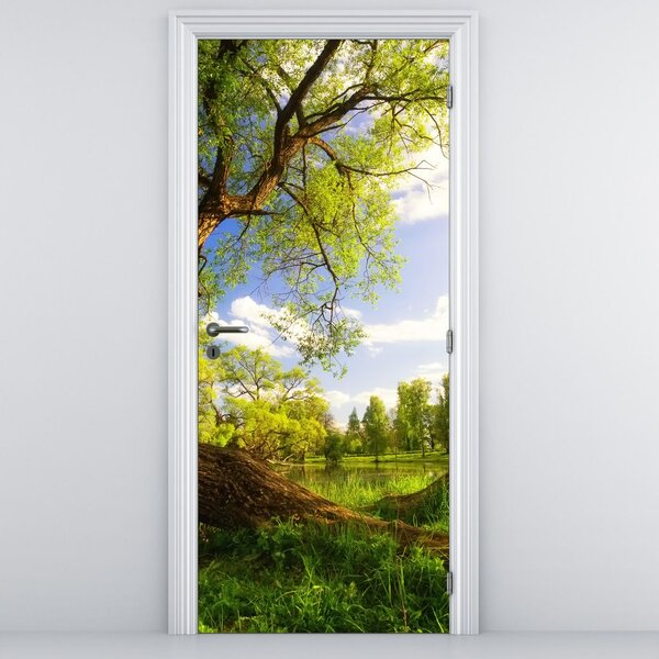 Fototapeta na drzwi - Wiosenna łąka (95x205cm)