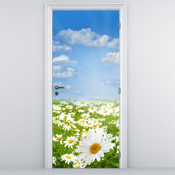 Fototapeta na drzwi - Kwitnąca łąka ze stokrotkami (95x205cm)