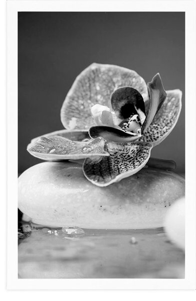 Plakat orchidea i kamienie zen w czerni i bieli