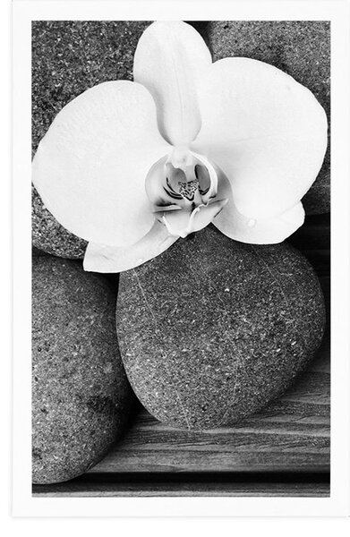Plakat kamienie wellness i orchidea na drewnianym tle w czerni i bieli