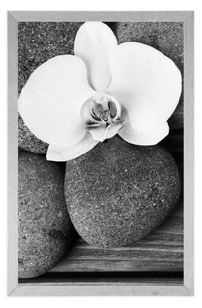 Plakat kamienie wellness i orchidea na drewnianym tle w czerni i bieli