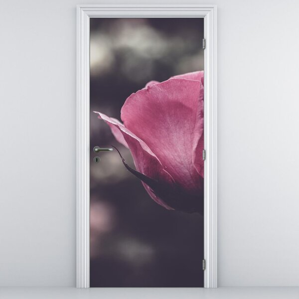 Fototapeta na drzwi - Detal kwiatu róży (95x205cm)
