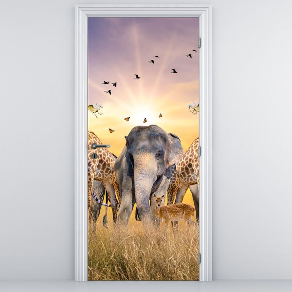 Fototapeta na drzwi - Zwierzęta afrykańskie (95x205cm)