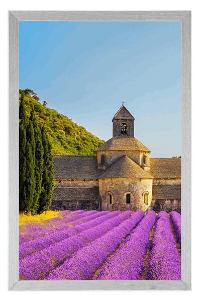 Plakat Prowansja z polami lawendy