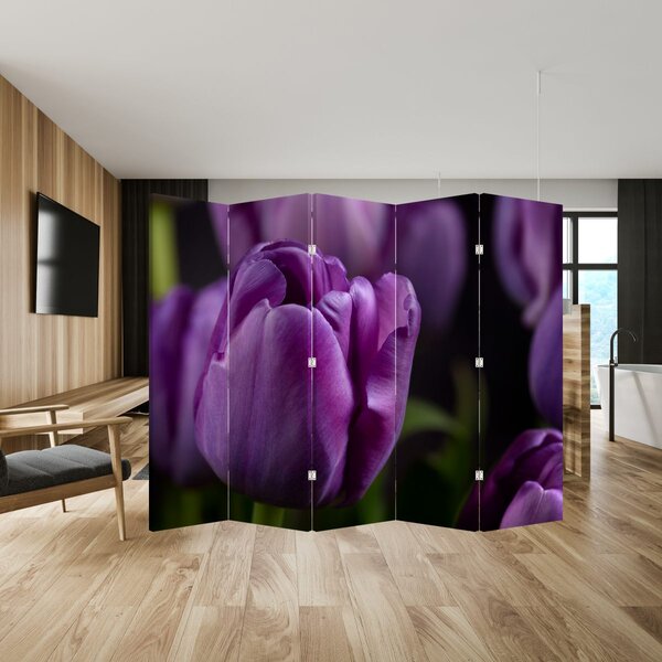 Parawan - Kwiat tulipana (210x170 cm)