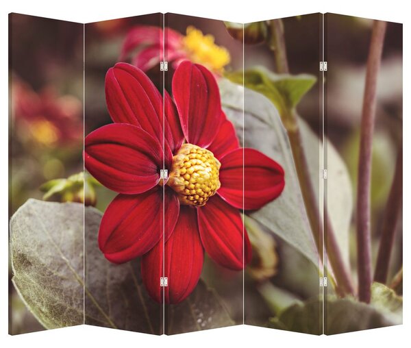Parawan - Kwiat (210x170 cm)