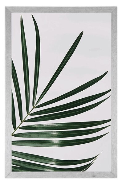 Plakat piękny liść palmowy