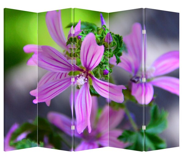 Parawan - Szczegół kwiatu (210x170 cm)