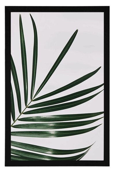 Plakat piękny liść palmowy