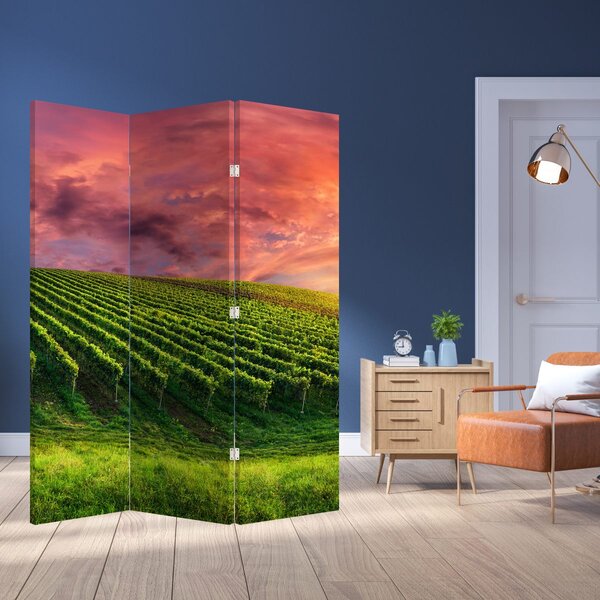 Parawan - Winnica z kolorowym niebem (126x170 cm)