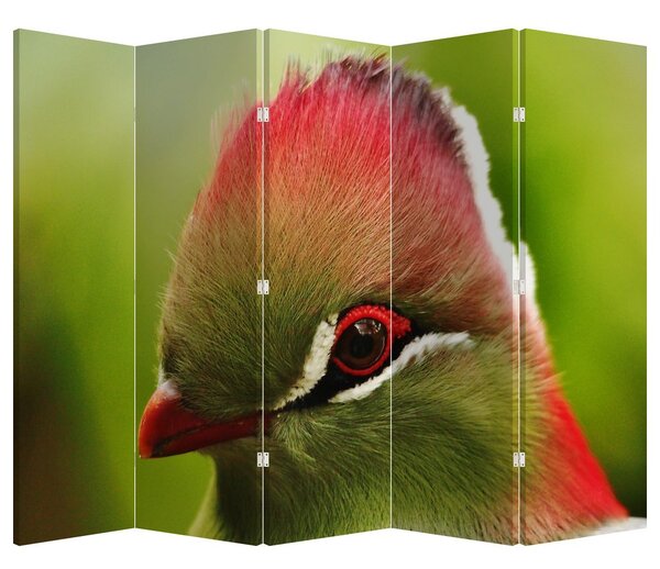 Parawan - Kolorowy ptak (210x170 cm)