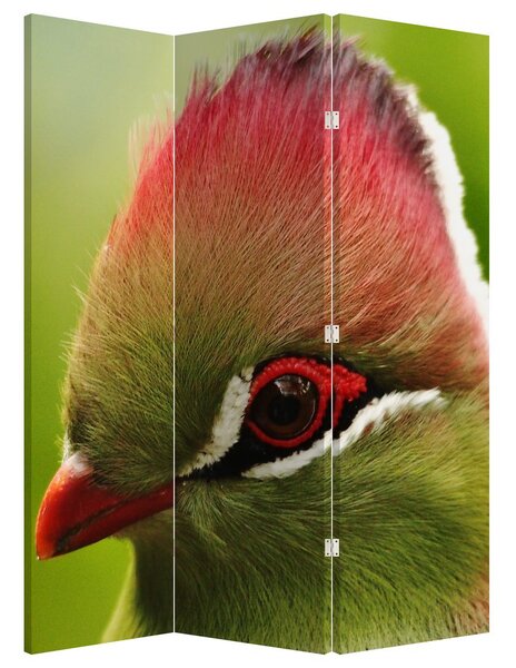 Parawan - Kolorowy ptak (126x170 cm)