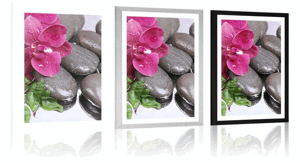 Plakat z passe-partout kwitnąca orchidea i kamienie wellness