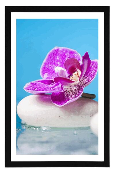 Plakat z passe-partout orchidea i Zen kamienie