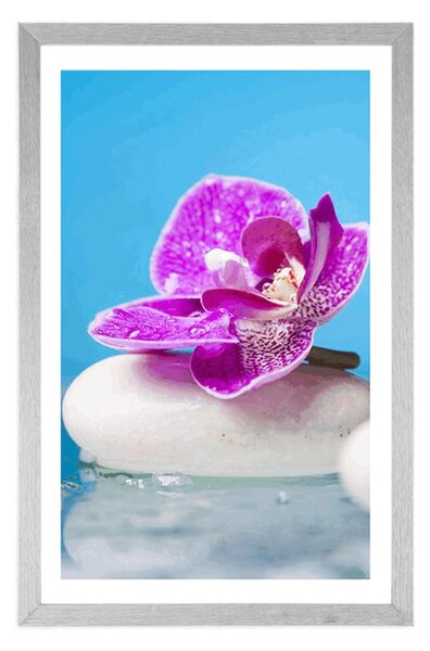 Plakat z passe-partout orchidea i Zen kamienie