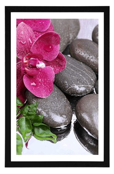Plakat z passe-partout kwitnąca orchidea i kamienie wellness