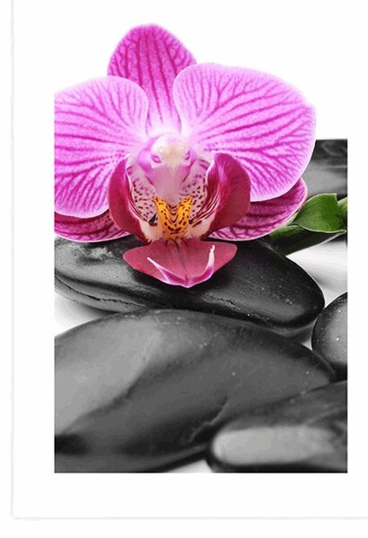 Plakat z passe-partout wellness kamenie