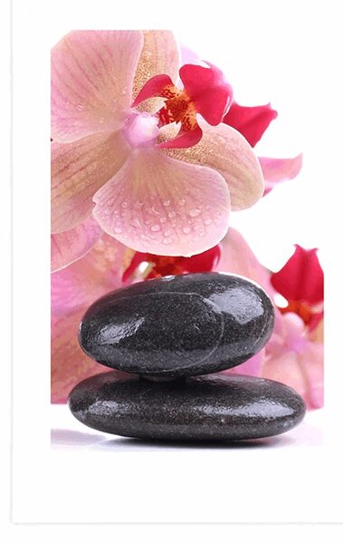 Plakat z passe-partout kamienie spa i orchidea