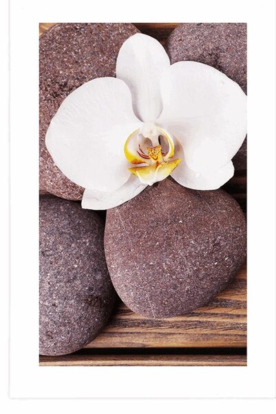 Plakat z passe-partout kamienie wellness i orchidea na drewnianym tle