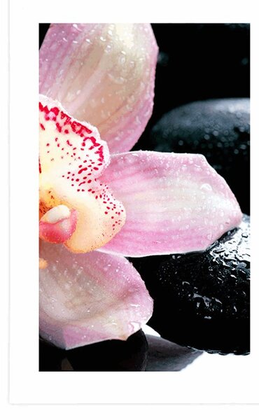 Plakat z passe-partout egzotyczna orchidea