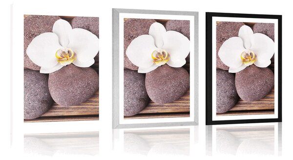 Plakat z passe-partout kamienie wellness i orchidea na drewnianym tle