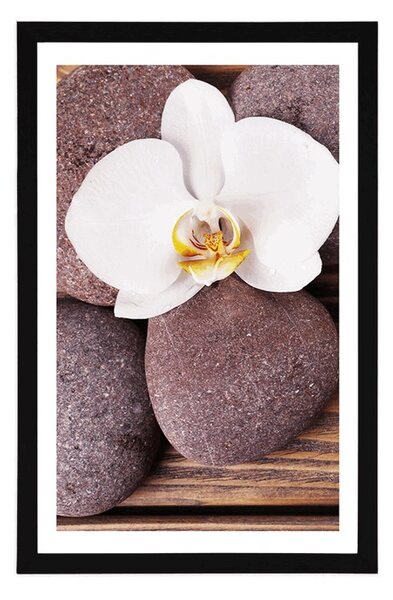 Plakat z passe-partout kamienie wellness i orchidea na drewnianym tle